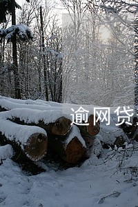 逾网贷逾期 逾网贷逾期