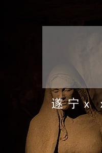 遂宁xx上市律师有用吗 遂宁xx上市律师有用吗