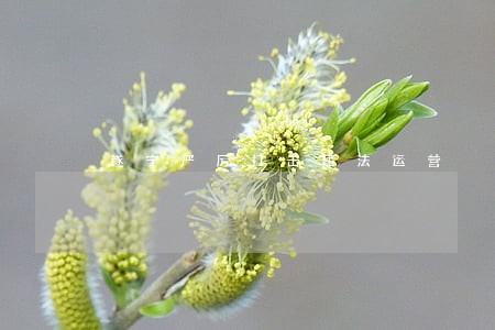 遂宁严厉打击违法运营 遂宁严厉打击违法运营