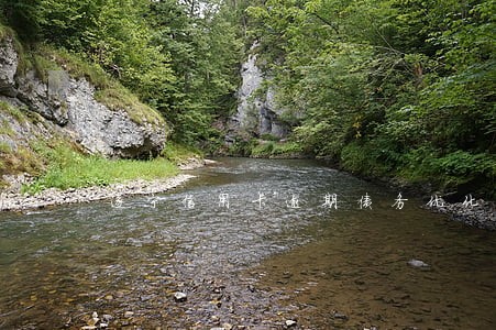 遂宁信用卡逾期债务优化怎么收费 遂宁信用卡逾期债务优化怎么收费