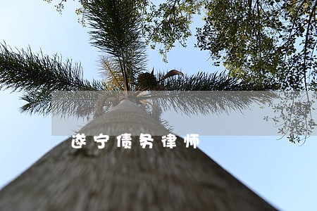 遂宁债务律师 遂宁债务律师