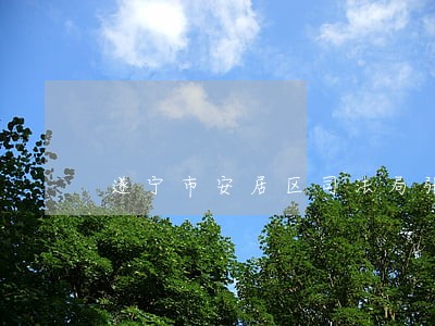 遂宁市安居区司法局张剑