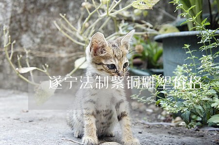 遂宁法制紫铜雕塑价格 遂宁法制紫铜雕塑价格
