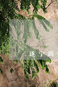 遂宁离婚律师服务平台