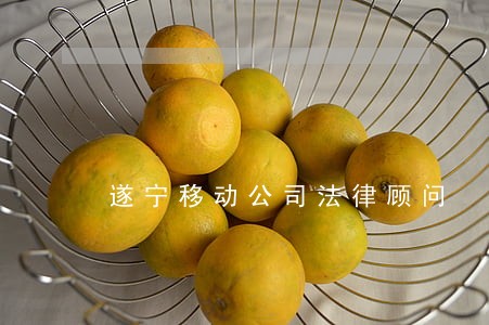 遂宁移动公司法律顾问 遂宁移动公司法律顾问