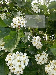 遂宁网贷逾期退息退保二次分期 遂宁网贷逾期退息退保二次分期