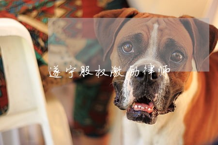 遂宁股权激励律师 遂宁股权激励律师