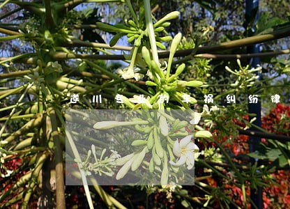 遂川专业的车祸纠纷律师 遂川专业的车祸纠纷律师