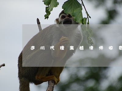遂川代理离婚律师收费