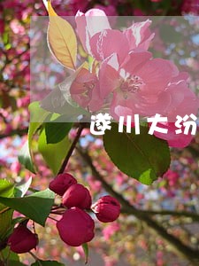 遂川大汾民事诉讼法律咨询 遂川大汾民事诉讼法律咨询