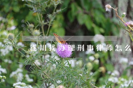 遂川找办理刑事律师怎么找 遂川找办理刑事律师怎么找