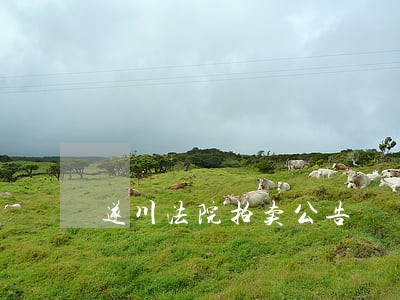 遂川法院拍卖公告 遂川法院拍卖公告