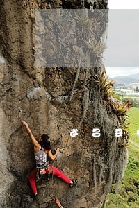 遂昌县招标投标律师在线免费咨询