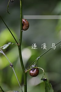 遂溪乌塘镇损害赔偿律师 遂溪乌塘镇损害赔偿律师