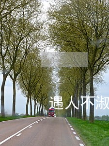 遇人不淑会离婚吗 遇人不淑会离婚吗