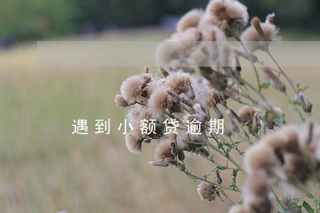 遇到小额贷逾期 遇到小额贷逾期