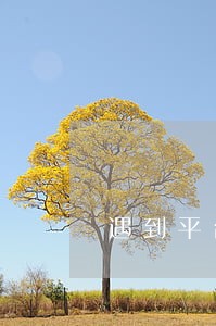 遇到平台逾期我该怎么办 遇到平台逾期我该怎么办