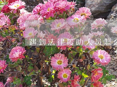 遇到法律援助人员怎么办