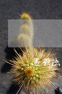 遇到法律援助工作怎么办 遇到法律援助工作怎么办