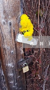 遇到网贷逾期了怎么办 遇到网贷逾期了怎么办