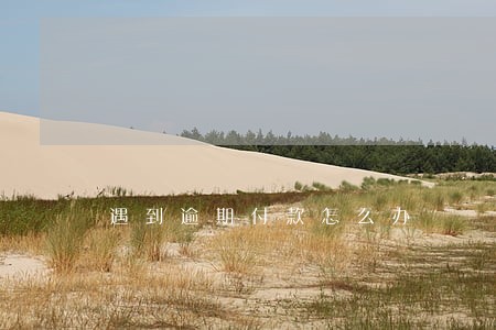 遇到逾期付款怎么办 遇到逾期付款怎么办
