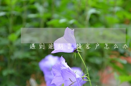 遇到逾期耍赖客户怎么办 遇到逾期耍赖客户怎么办