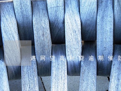 遇网贷高利贷逾期催款怎么办 遇网贷高利贷逾期催款怎么办