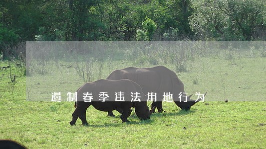遏制春季违法用地行为 遏制春季违法用地行为