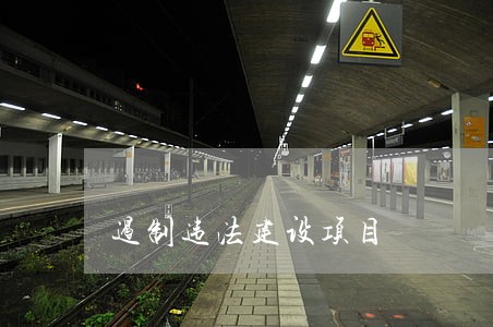 遏制违法建设项目 遏制违法建设项目