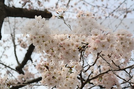 道县法院王永春 道县法院王永春
