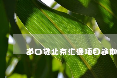 道口贷北京汇源项目逾期 道口贷北京汇源项目逾期