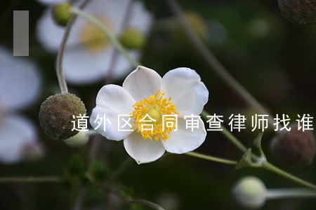道外区合同审查律师找谁 道外区合同审查律师找谁