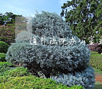 道外法院办公室主任