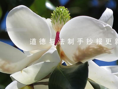 道德与法制手抄报更新啦 道德与法制手抄报更新啦