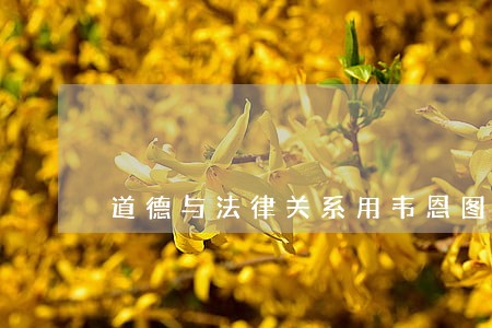 道德与法律关系用韦恩图 道德与法律关系用韦恩图