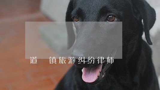 道滘镇旅游纠纷律师 道滘镇旅游纠纷律师