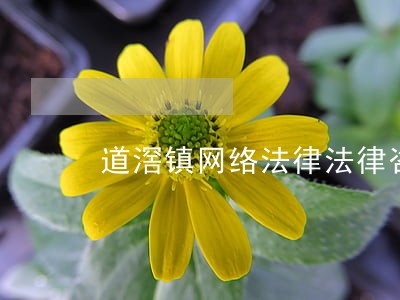 道滘镇网络法律法律咨询热线 道滘镇网络法律法律咨询热线