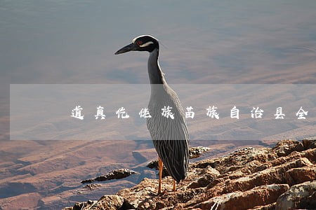 道真仡佬族苗族自治县全国律师网 道真仡佬族苗族自治县全国律师网