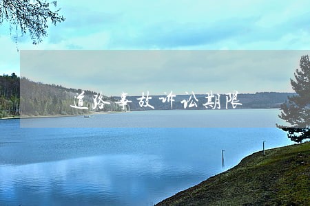 道路事故诉讼期限 道路事故诉讼期限