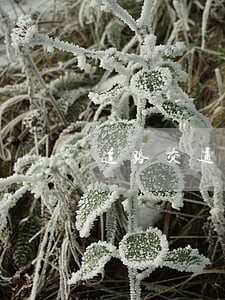 道路交通事故诉讼指引解答 道路交通事故诉讼指引解答