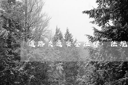 道路交通安全法律.法规和规章 道路交通安全法律.法规和规章