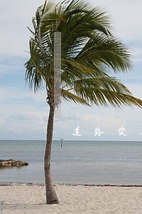 道路交通安全法规与相关知识必读