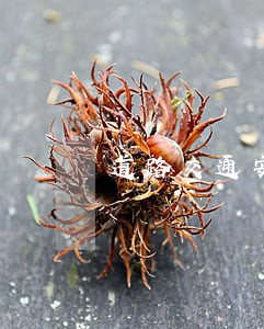 道路交通安全法逾期未年检 道路交通安全法逾期未年检
