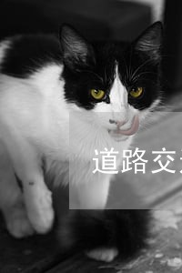 道路交通安全法逾期没处理 道路交通安全法逾期没处理