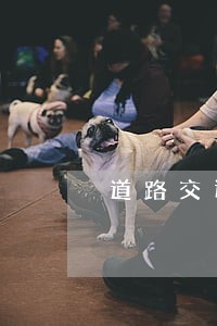 道路交通违法人逾期未处理