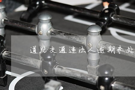 道路交通违法人逾期未处理办法