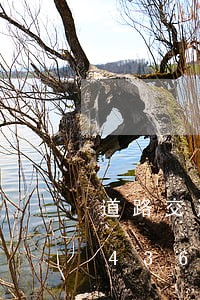道路交通违法罚单/2023020434436 道路交通违法罚单/2023020434436
