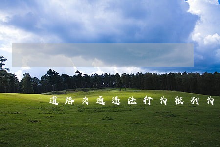 道路交通违法行为被列为专项整治 道路交通违法行为被列为专项整治