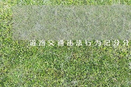 道路交通违法行为记分分值分为几种 道路交通违法行为记分分值分为几种