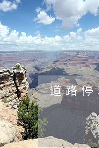 道路停车违法临时 道路停车违法临时